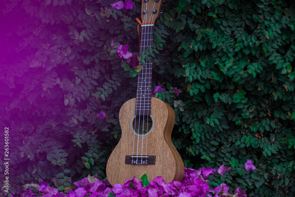 ukulele against green wall