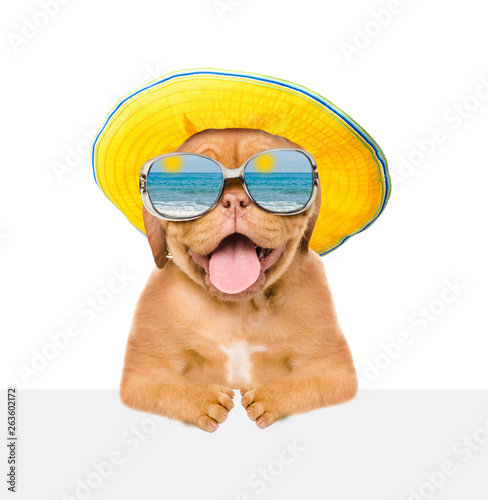 Funny dog with mirrored sunglasses and summer hat peeking above empty white banner. isolated on white background