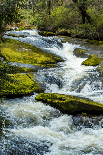 Fototapeta Naklejka Na Ścianę i Meble -  stream of water rushing down green moss covered rocks inside forest in the park