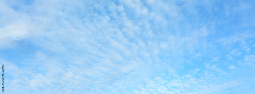 fluffy white cloud on clear blue sky in the morning weather day