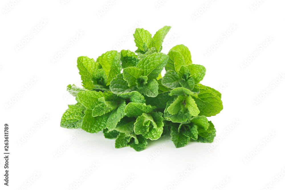 fresh green leaves of mint on a white background fresh green leaves of mint on a white background