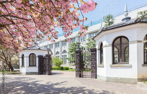 Gate of Japan Mint (Zoheikyoku) and cherry blossoms (Sakura-no-Torinuke) in Osaka, Japan
