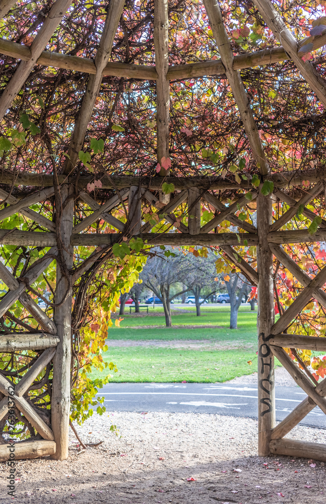 Gazebo covered in vines Stock Photo Adobe Stock