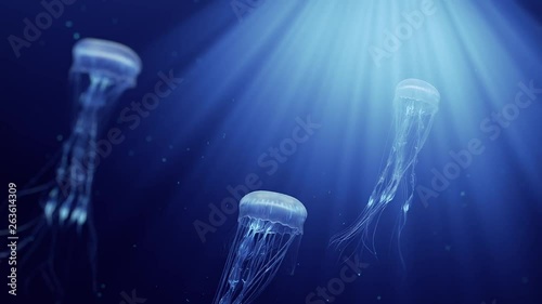 3d animation of jellyfishes swimming in deep ocean