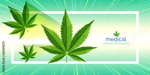 Marijuana plant and cannabis on CBD  backgrounds.