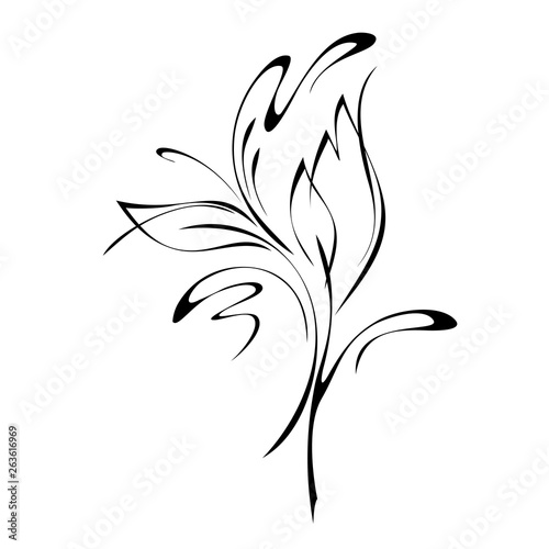 Fototapeta Naklejka Na Ścianę i Meble -  ornament in smooth black lines with leaves and curls on a white background