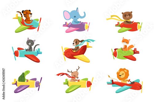 Flat vector set with cute animals flying in colorful airplanes. Cartoon characters of domestic and wild creatures. Design for children s t-shirt print, book or postcard