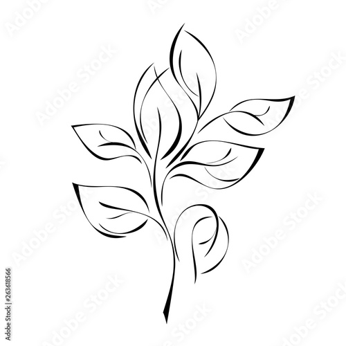 stylized twigs with leaves in smooth black lines on white background