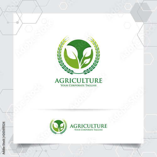 Agriculture logo design with concept of grain icon and plant leaves vector. Green nature logo used for agricultural systems, farmer, and plantation products.