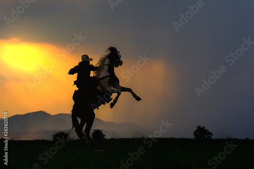 Cowboy silhouette on a horse during nice sunset © subinpumsom