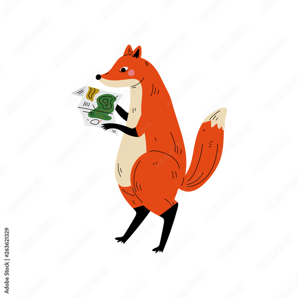 Obraz Red Fox Standing on Two Legs with Map, Animal Character Having Hiking Adventure Travel or Camping Trip Vector Illustration