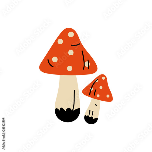 Amanita Muscaria Poisonous Mushrooms, Summer Forest Design Element Vector Illustration