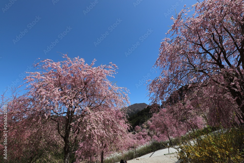 天空の庭園　高見の郷