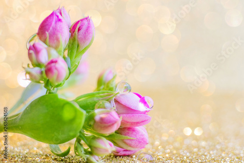Small pink buds in the form of a bouquet on a golden background with a beautiful bokeh. Very bright photo in warm colors. Copy space.