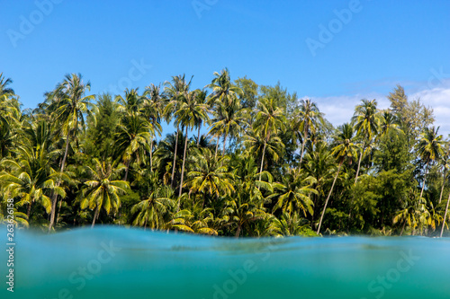 A view of the tropical coast with palms through the blurred snorkeling goggles.