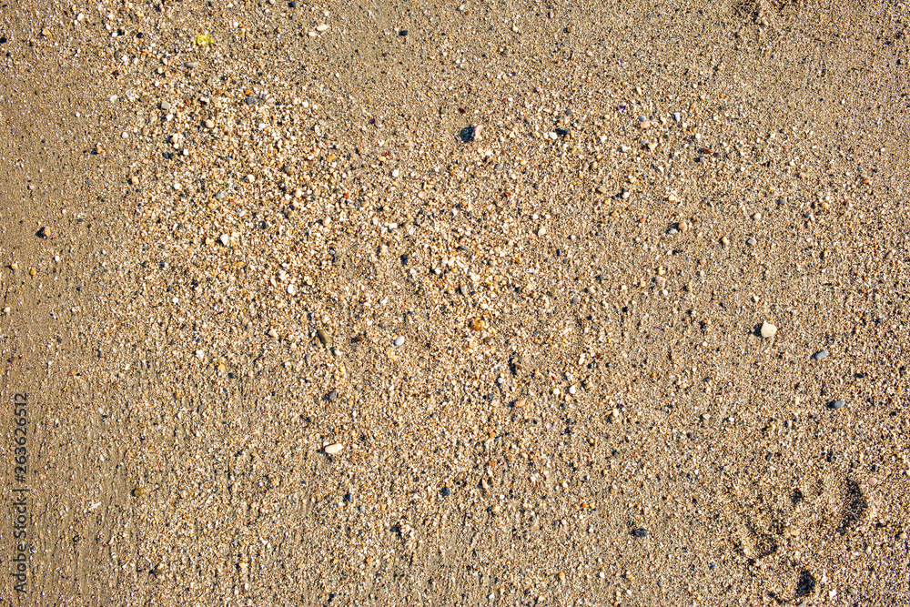 Fototapeta premium Top view of seashore, clean sand texture of natural surface.
