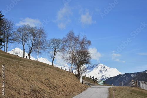 Osttirol, Ainet, Iseltal, Schobergruppe, Hochschober, Dorf, Alpenhauptkamm, Nationalpark, Hohe Tauern, Schlaiten, Iseltal, Weg, Straße, Feld, Siedlung, Tal, Feld, Felder, Landwirtschaft, Frühling, Bau photo