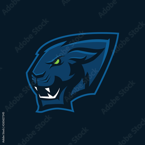 Modern professional logo for sport team. Panther mascot. Panthers  vector symbol on a dark background.