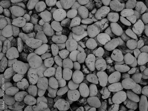 white pebbles stone background 
