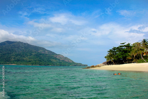 Plam beach with blue sky background in summer, in Andaman sea. Thailand