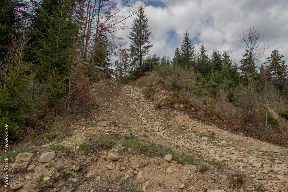 Rest in the Carpathians, Hiking in the mountains Gorgany