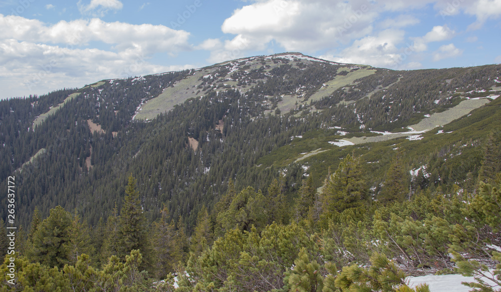 Obraz premium Rest in the Carpathians, Hiking in the mountains Gorgany