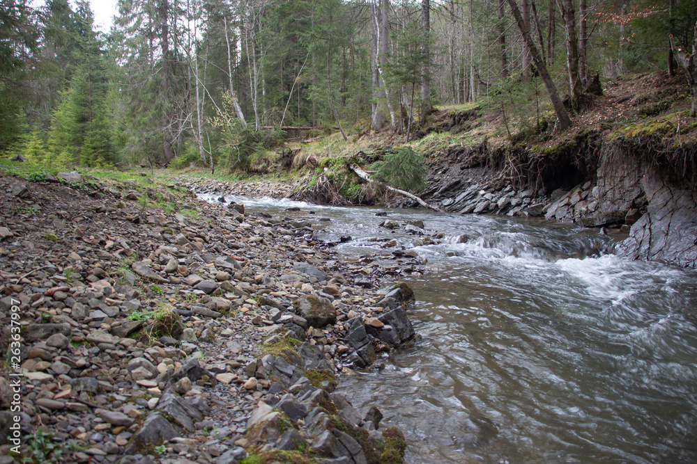 Rest in the Carpathians, Hiking in the mountains Gorgany Rest in the Carpathians, Hiking in the mountains Gorgany