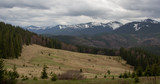 Rest in the Carpathians, Hiking in the mountains Gorgany
