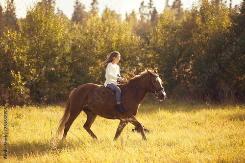 Young girl goes sorrel horse riding