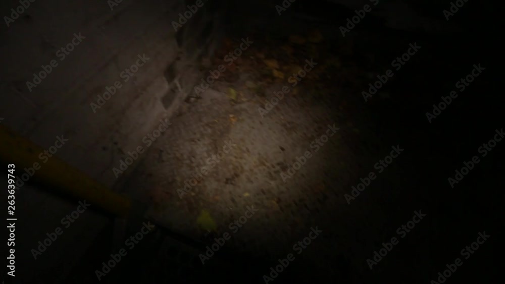 Creepy flashlight video moving through cold wet and dark basement.
