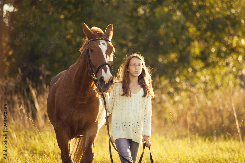 Fototapeta premium Young girl with horse in field