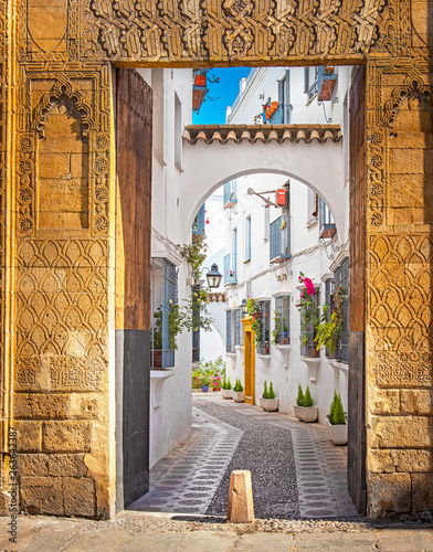 Old town of Cordoba with flowers