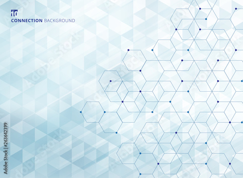 Abstract hexagons with nodes digital geometric with lines and dots geometric triangles pattern light blue color background and texture. Technology connection concept.