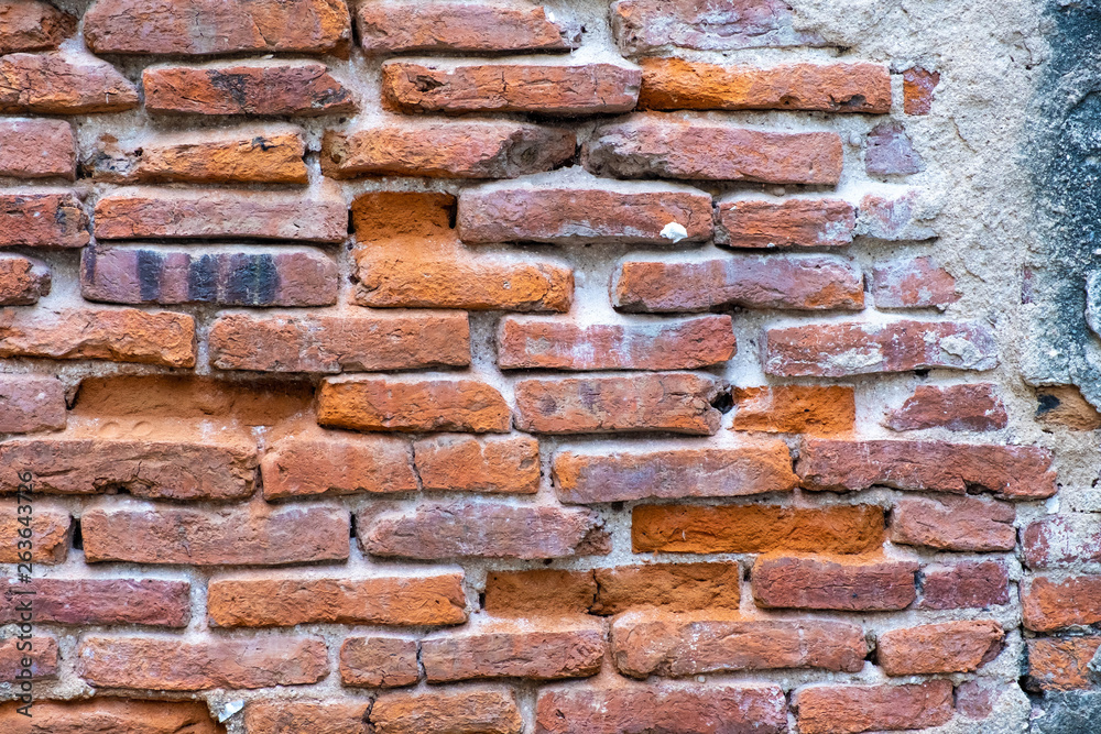 Obraz premium Old red brick wall texture and green leaf hanging down on it at the edge. Copy space background. 