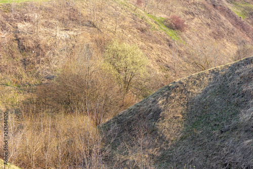 Large deep ravine overgrown with trees - geological type, landscape, geodesy photo