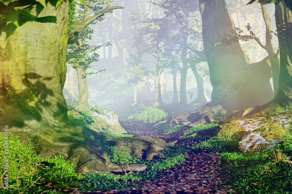 path through magical forest at sunrise, beautiful old trees fantasy landscape - obrazy, fototapety, plakaty 