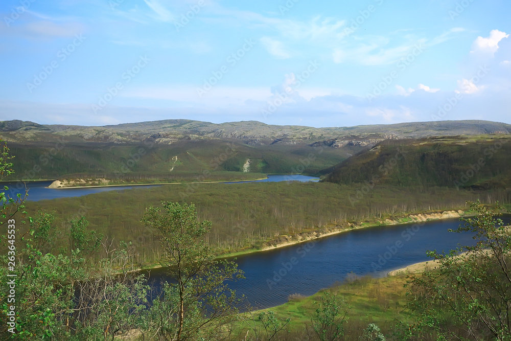 landscape tundra / summer landscape in the north tundra, moss, ecosystem