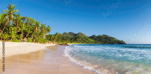 Panoramic view of paradise beach. Sunny beach with palms and turquoise sea. 