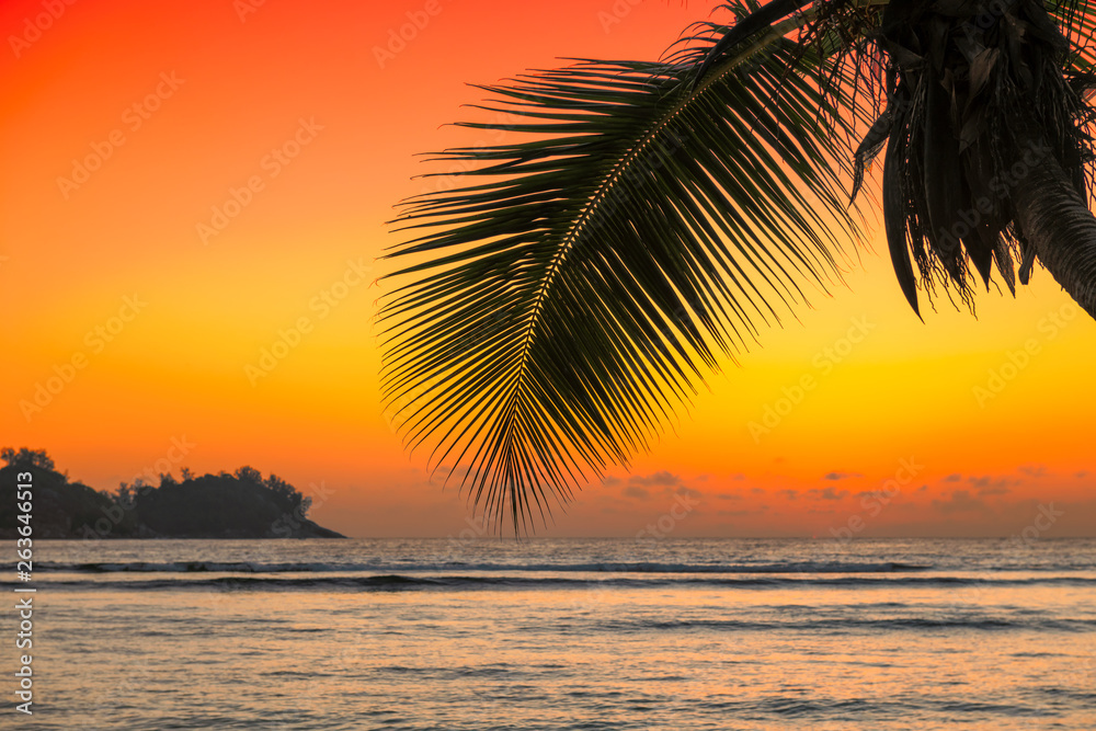 Beautiful orange sunset over the sea with coco palm on the beach in Jamaica Caribbean island