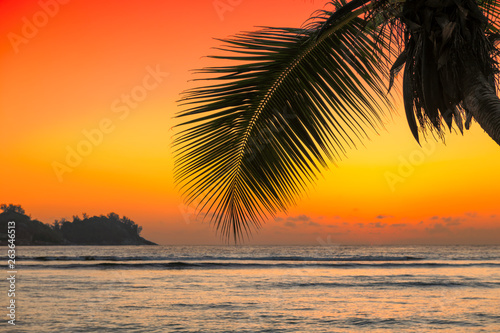 Fototapeta Naklejka Na Ścianę i Meble -  Beautiful orange sunset over the sea with coco palm on the beach in Jamaica Caribbean island