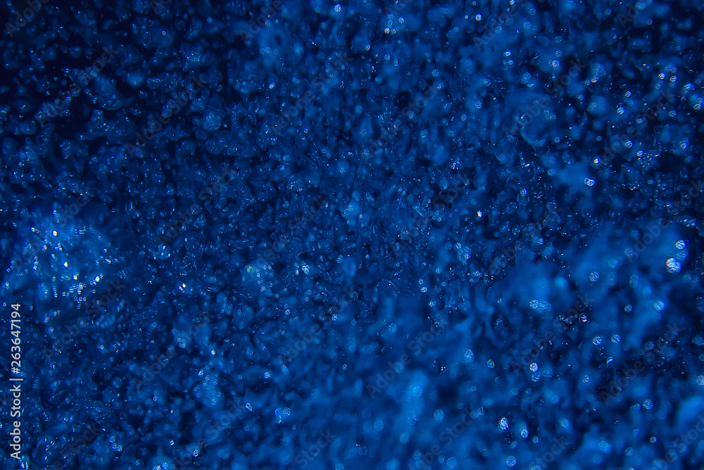 coral reef macro / texture, abstract marine ecosystem background on a coral reef coral reef macro / texture, abstract marine ecosystem background on a coral reef