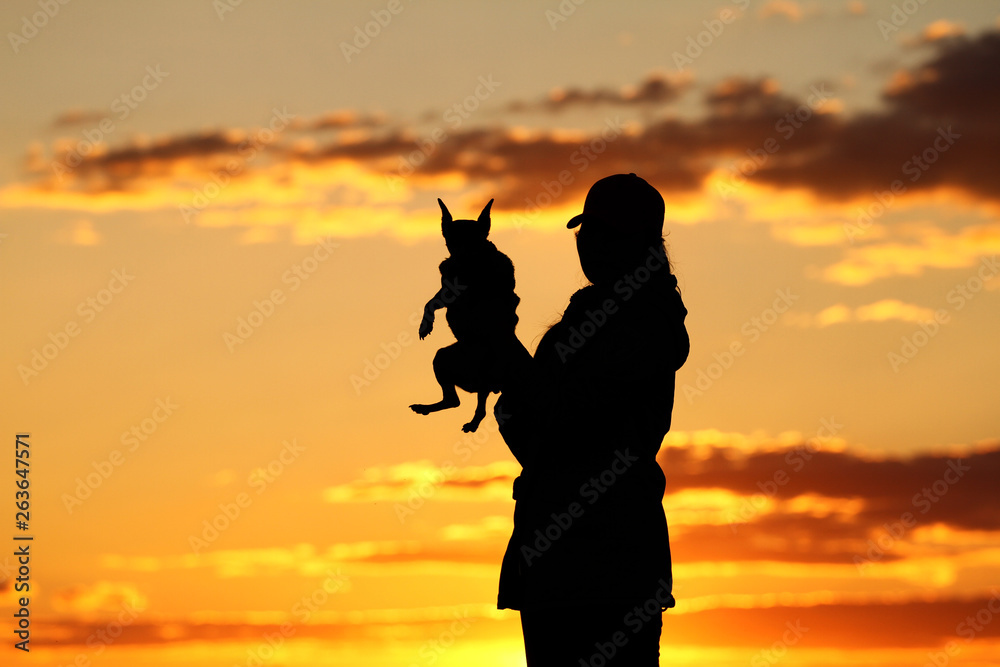 Silhouettes girl holding a dog in her hands, breed miniature pinscher dog, incredible sunset, best friends together