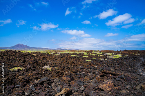 Spain, Lanzarote, Bizarre dry desert scenery of black lava field covered by green flora surrounding volcano corona