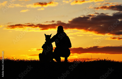 Silhouettes of girl and dog at sunset, breed Belgian shepherd Malinois, incredibly beautiful sunset, best friends together