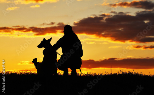 Silhouettes girl and two dogs at sunset, a breed of Belgian Shepherd dog Malinois and a miniature pinscher dog, an incredibly beautiful sunset, best friends together