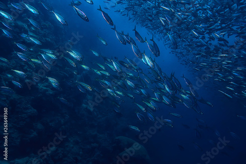 scad jamb under water / sea ecosystem, large school of fish on a blue background, abstract fish alive