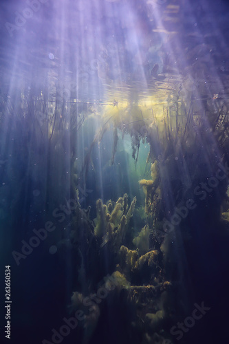 lake underwater landscape abstract / blue transparent water, eco nature protection underwater