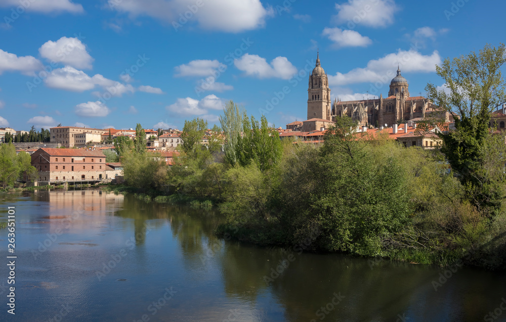 Salamanca is a beautiful and touristic city in Castile and Leon region, Spain