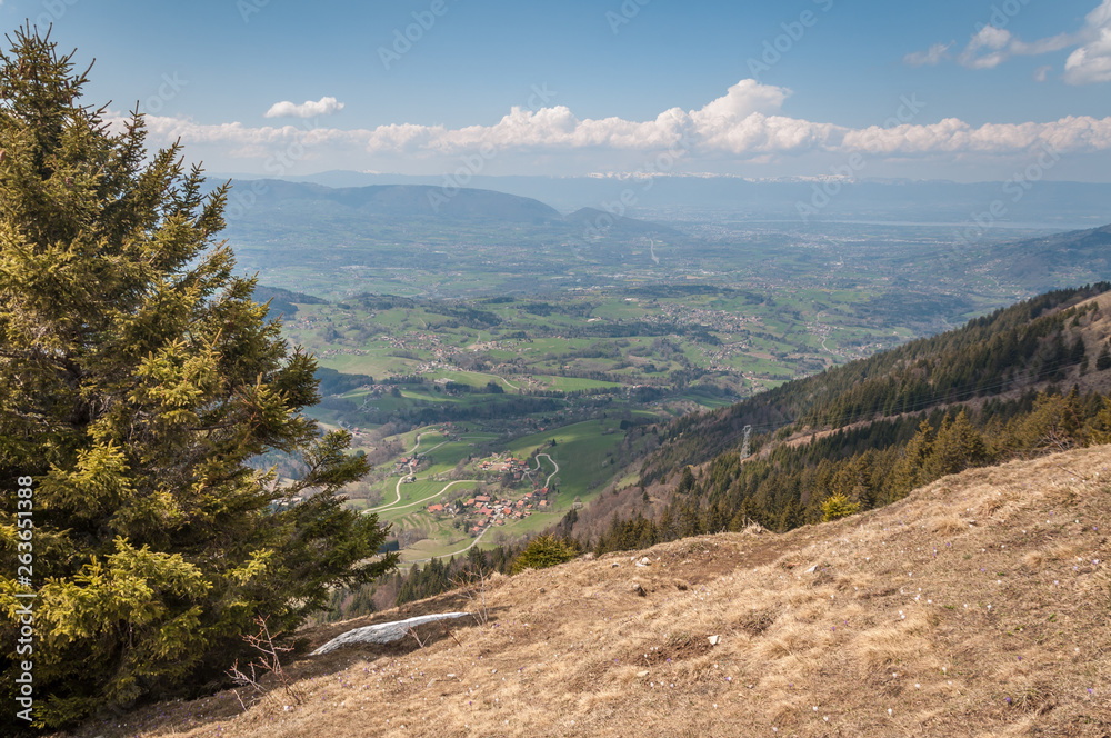 Vallée de l'Arve