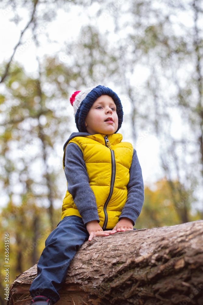 A little boy sits on a fallen tree trunk A little boy sits on a fallen tree trunk